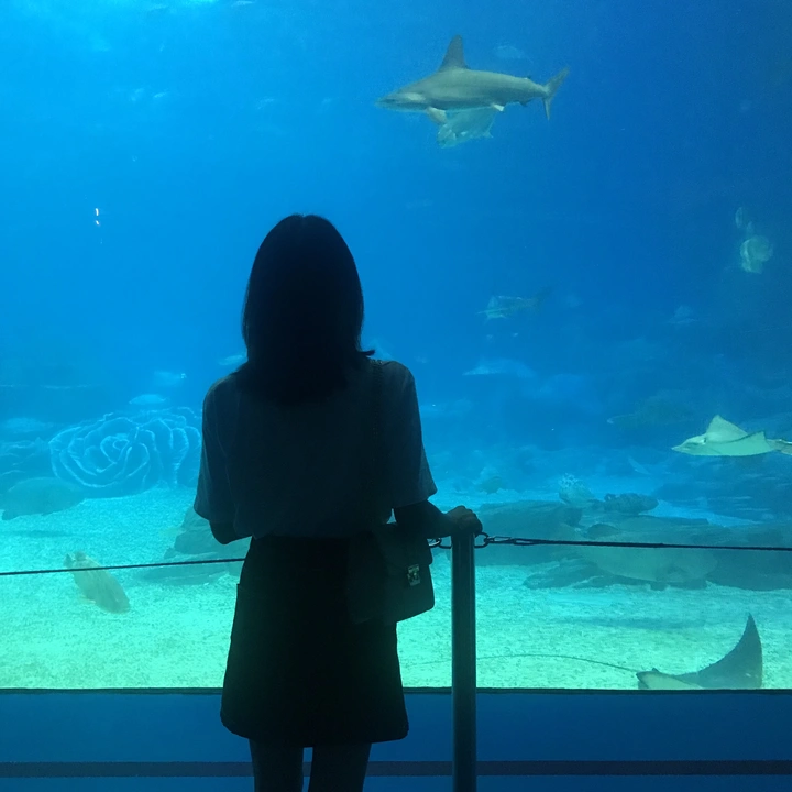 水族馆