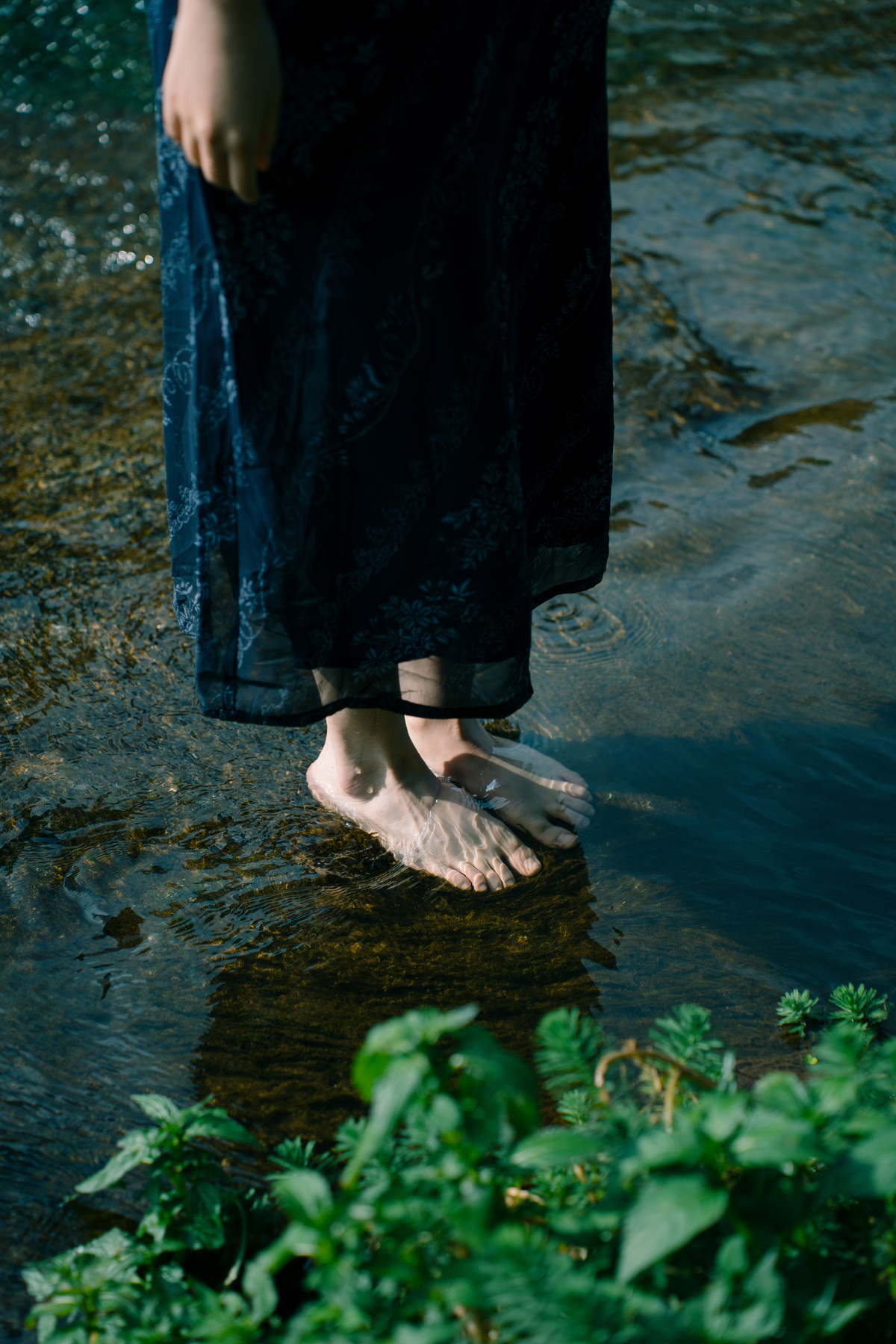 一位穿着连衣裙的女人站在浅水溪流中 双脚浸在水中