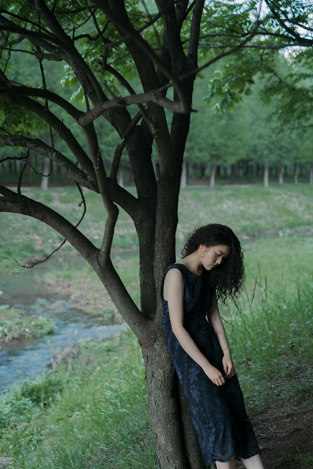 一位穿着黑色连衣裙的年轻女子 靠在一棵溪边树旁