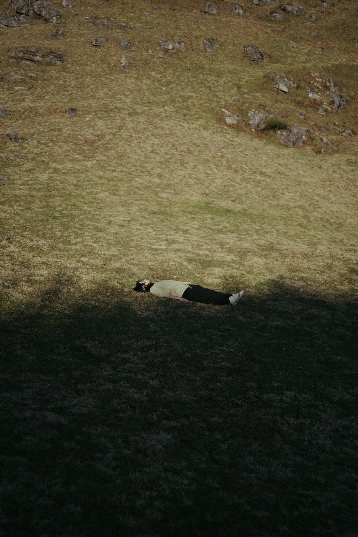 黑白相间的牛在绿色的草地上躺下 而一只黑白相间的狗站在山上。