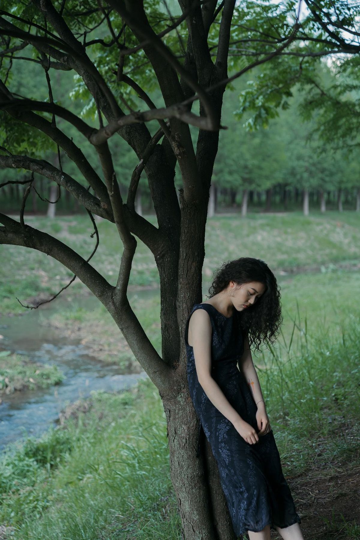 一位穿着连衣裙的年轻女子靠在一棵树旁 位于森林中的一条小溪附近。