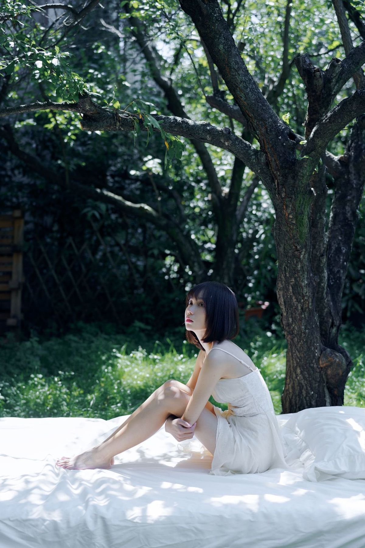一个穿着白色连衣裙的年轻女子坐在一棵大树下的白色床上