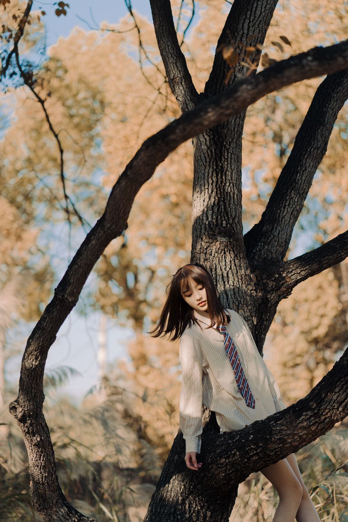 一位穿着白色领带站在树上的年轻女子