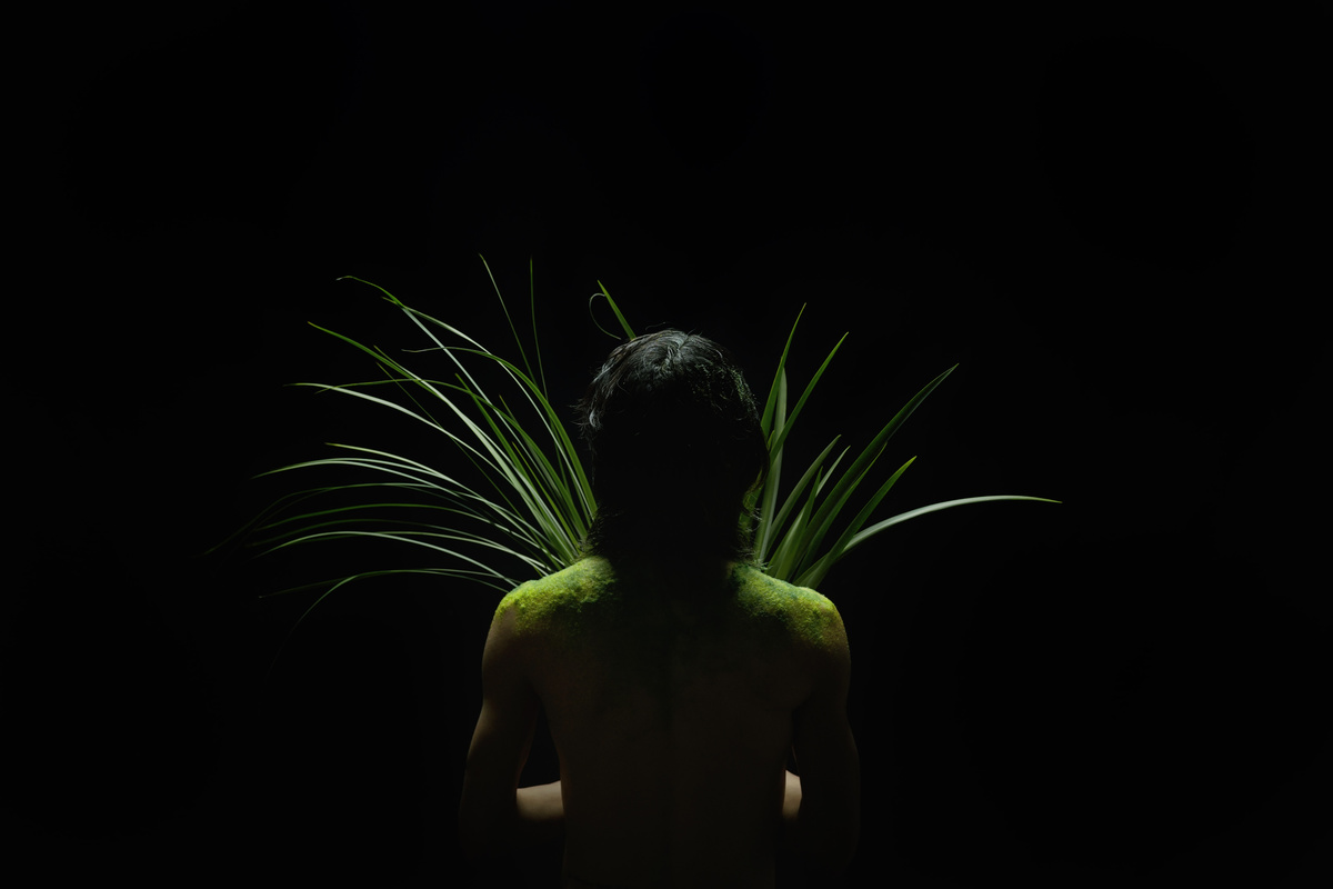 一个站在黑暗中的人手里拿着一株绿色的植物