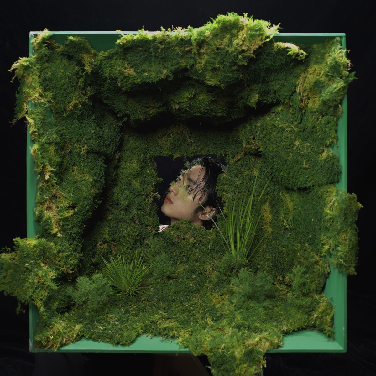 一片由绿藓和草制成的女人脸的画像