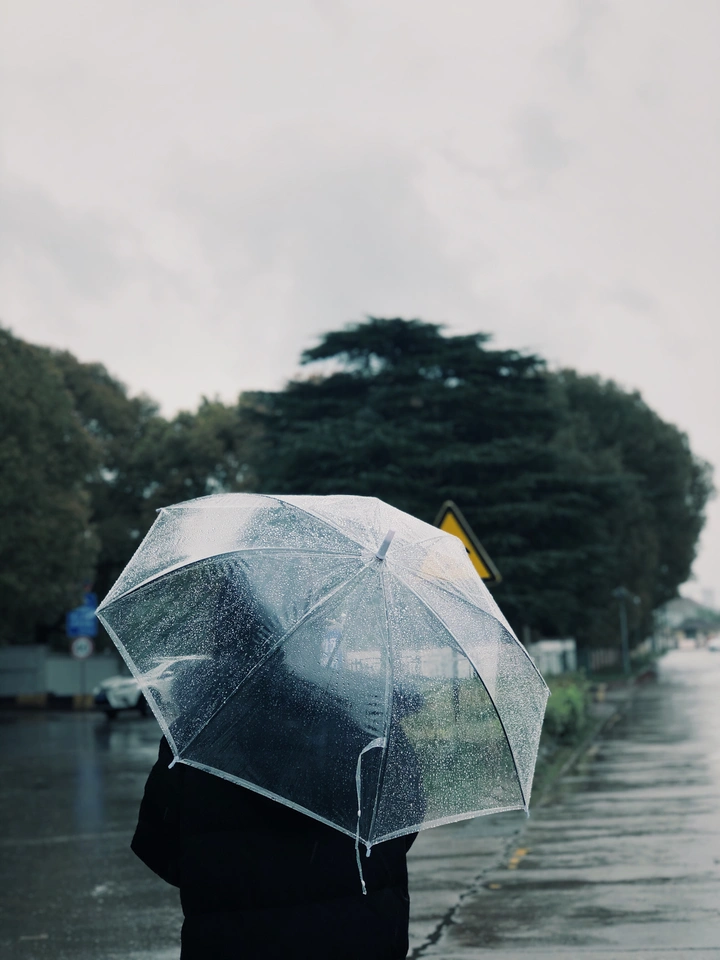 雨