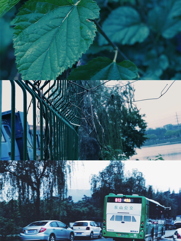 雨后漫步