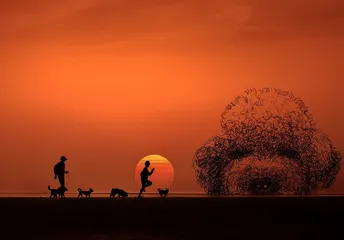 夕阳西下时 田地里人们、狗和动物的剪影