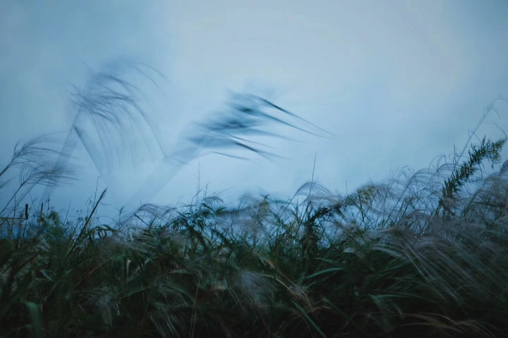老家门前四季