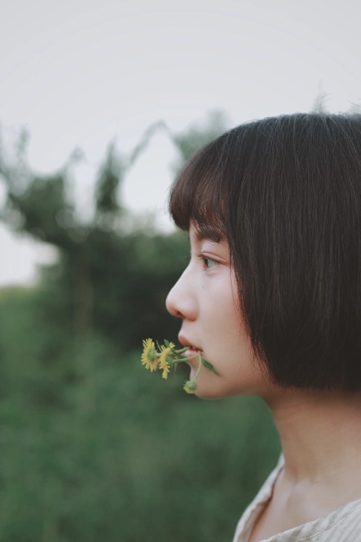 日系小森林治愈系