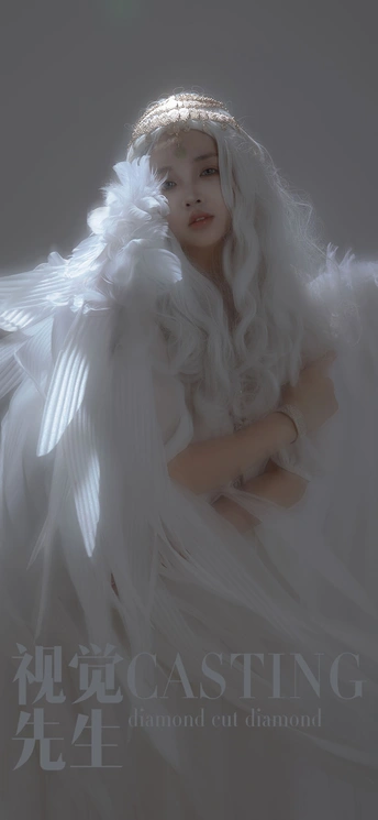 翅膀的数字艺术