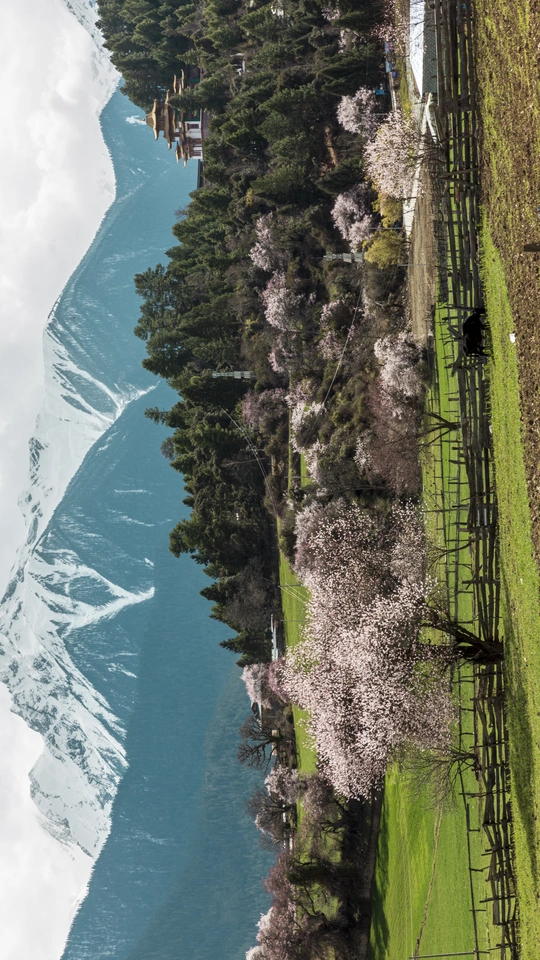 一条河流旁边有一片绿色的田野和树木。