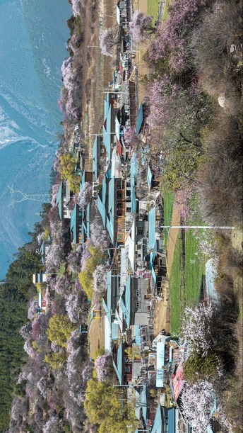 沿着山脉旁的道路 有一排人 旁边有树木。