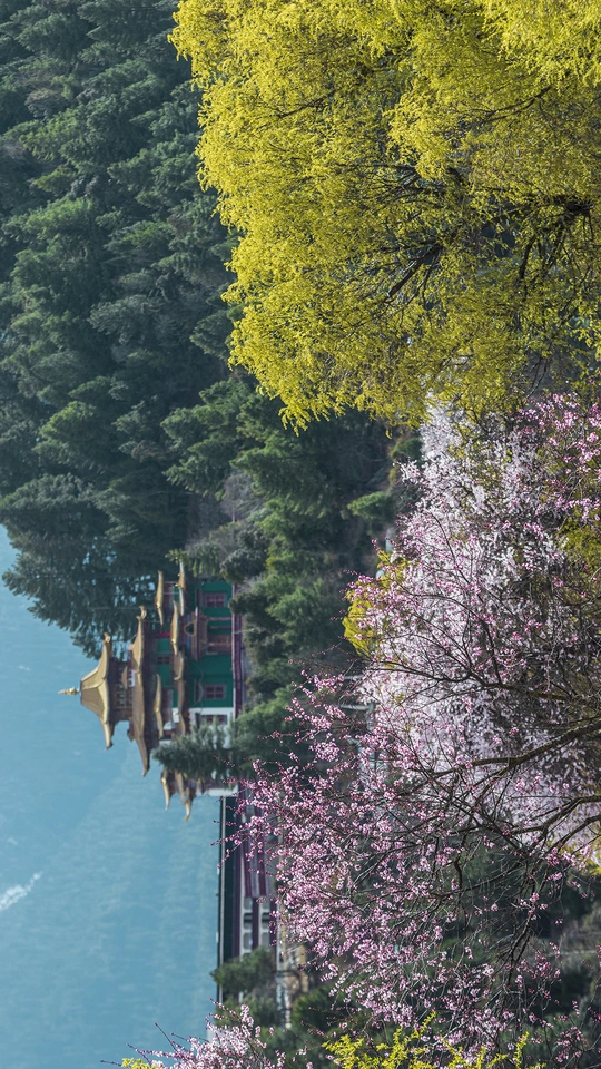 水域 有船 有树 有花