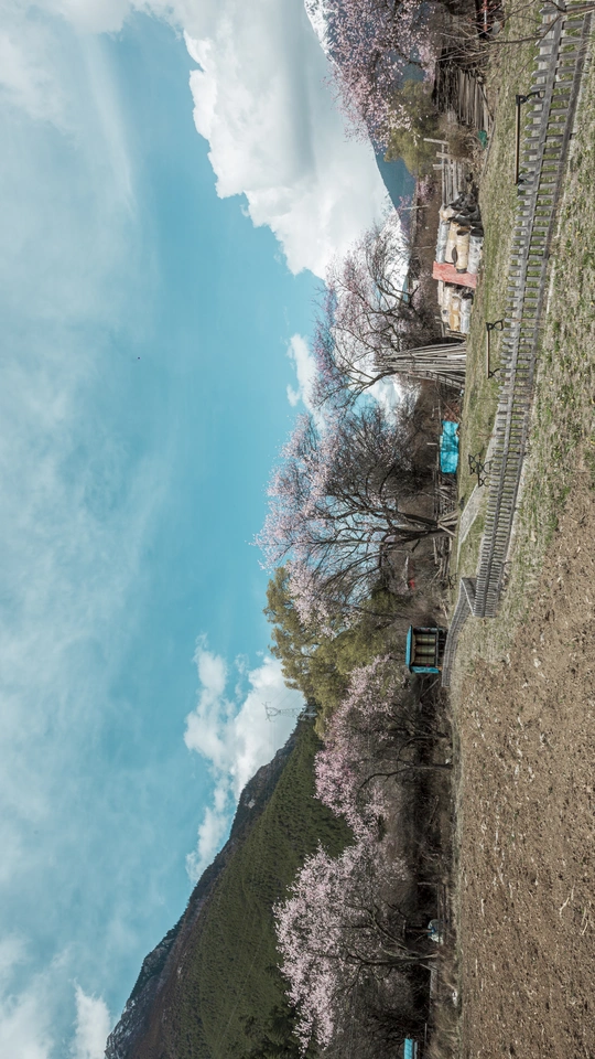 河岸上有一列火车 火车轨道旁边有人们和树木 还有蓝天和白云。