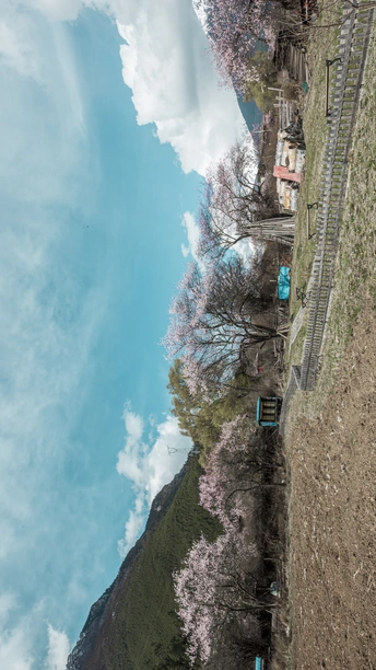 河岸上有一列火车 火车轨道旁边有人们和树木 还有蓝天和白云。