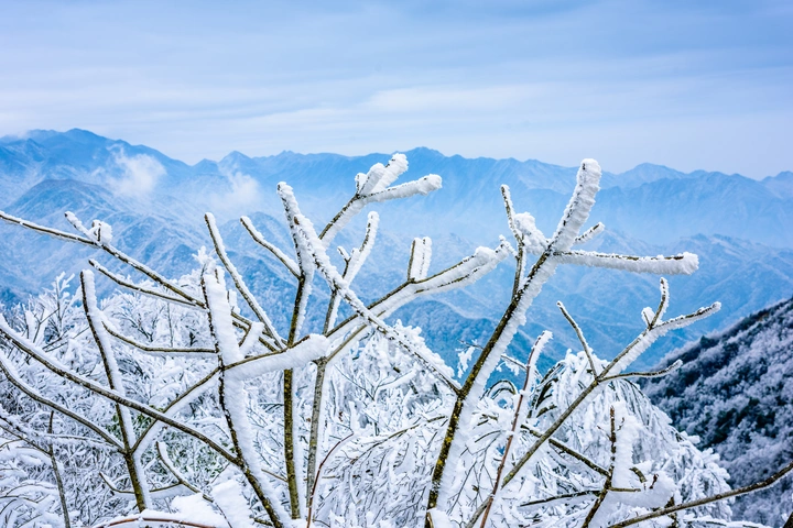 金紫山的雪景