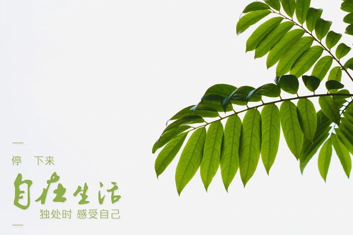 绿色植物，需要关注
