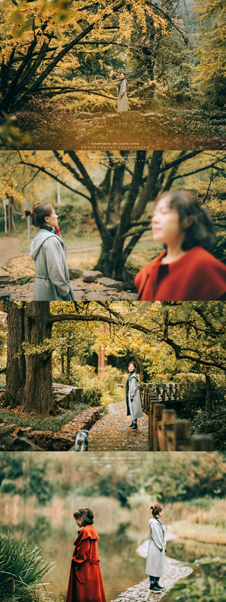 秋📷野