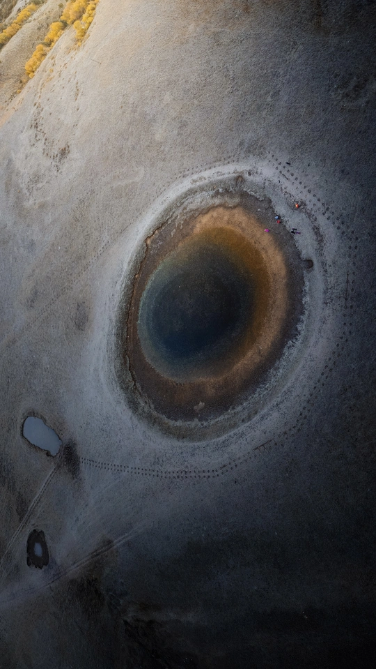 鲸鱼的眼睛特写