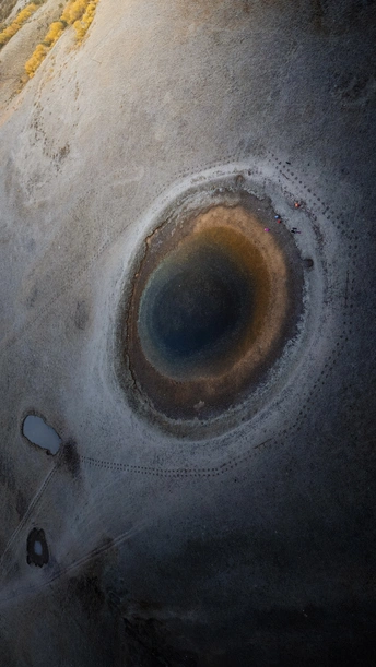 鲸鱼的眼睛特写