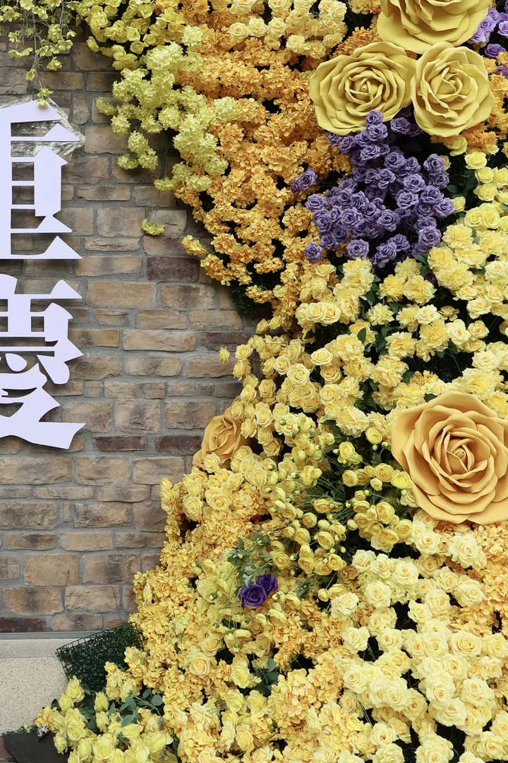 入夏前最温柔的风