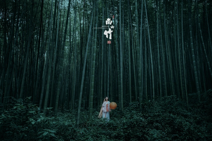 南山竹