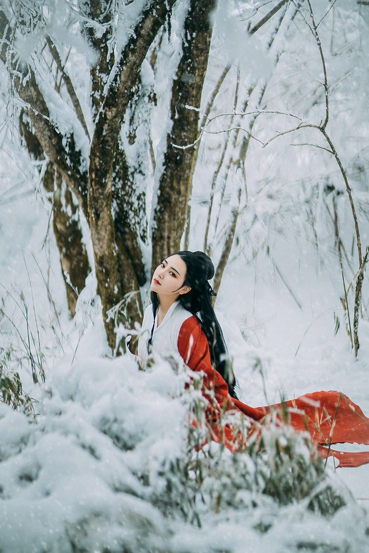 落雪红梅