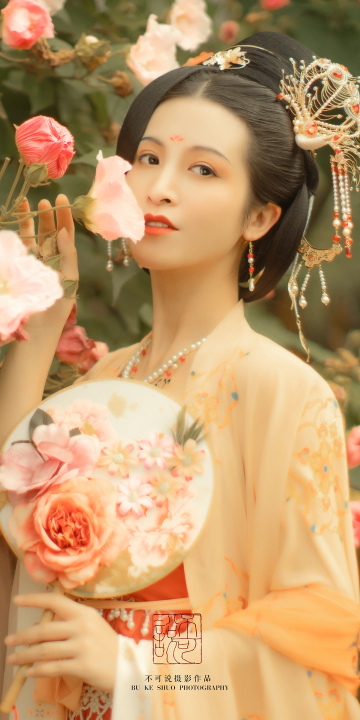 芙蓉醉