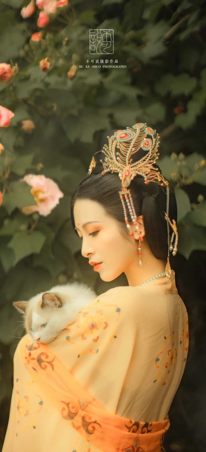芙蓉醉