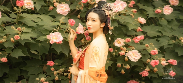 芙蓉醉