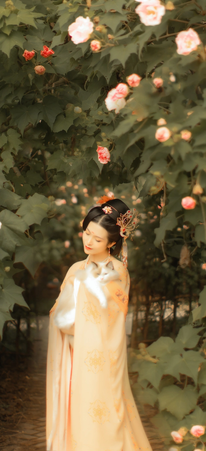 芙蓉词