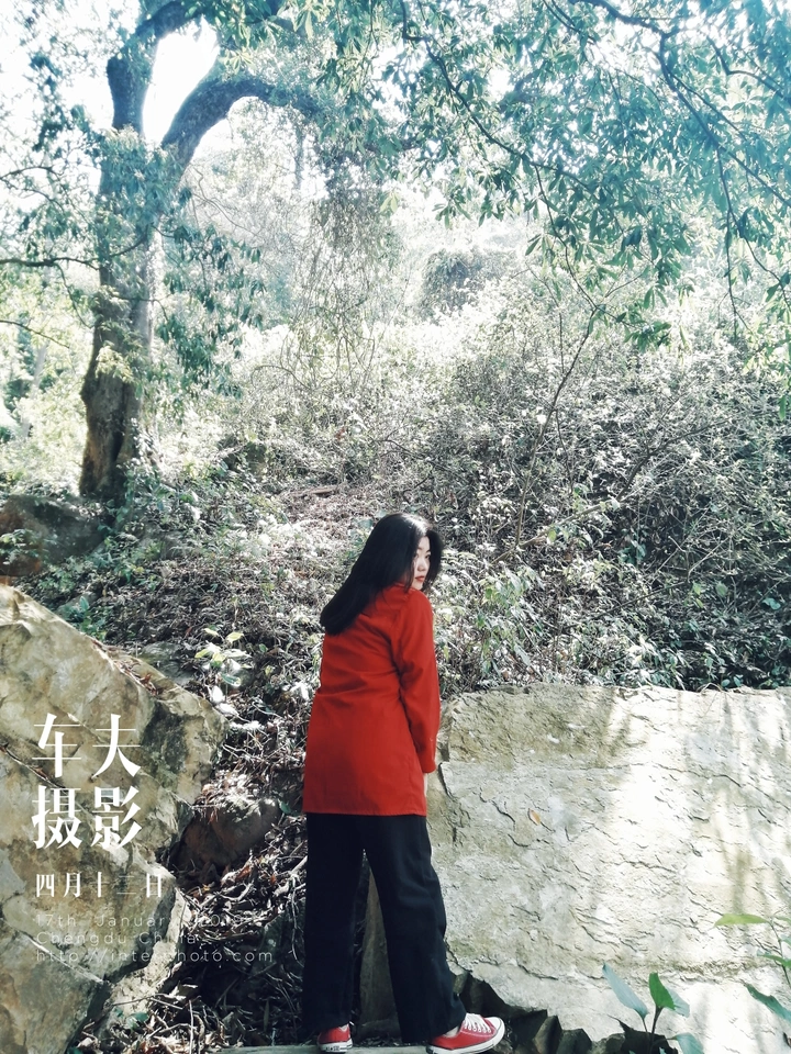 森系