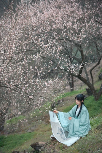 一位穿着和服的女性坐在盛开的花树下