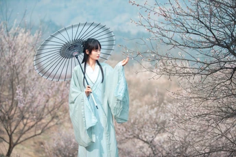 一位穿着蓝色和服的女士 手持打开的雨伞 站在田野中。