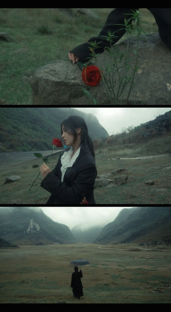 一位女子手持红玫瑰在田野中的画面