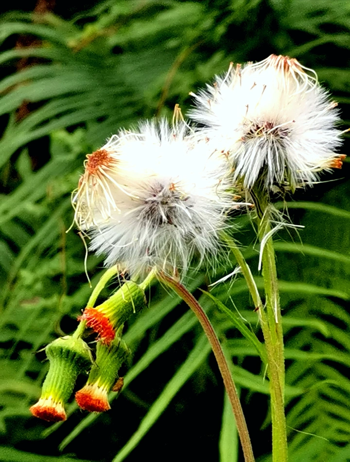 等风来……