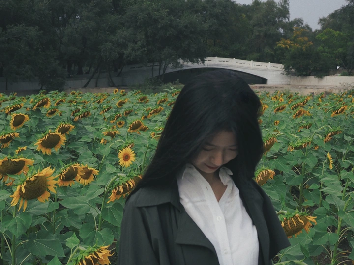陪花一起低头