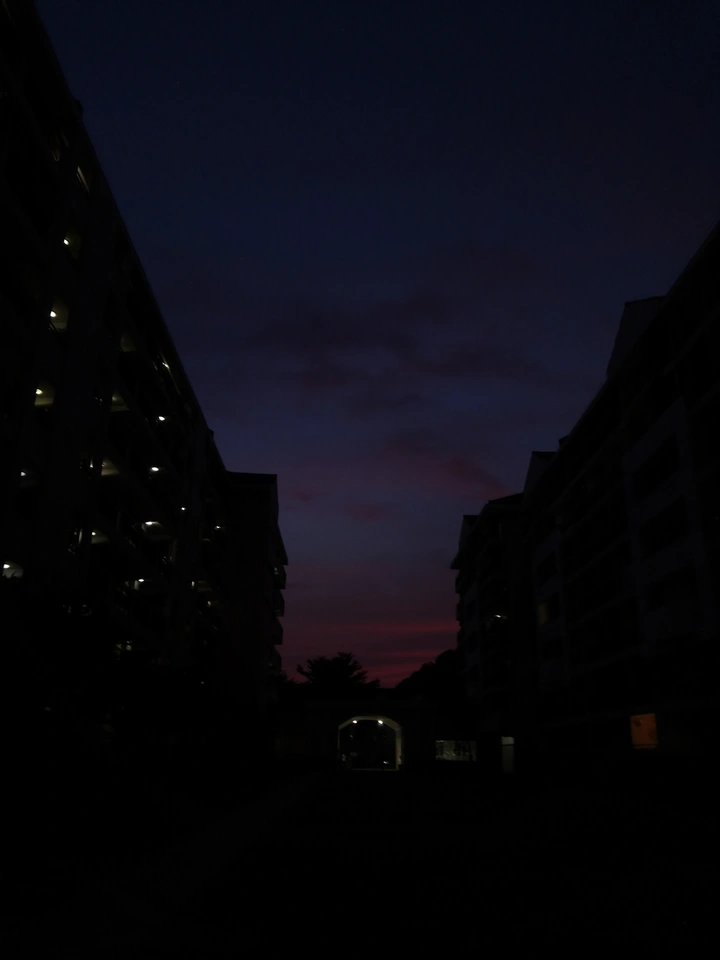 趁着夜还没来