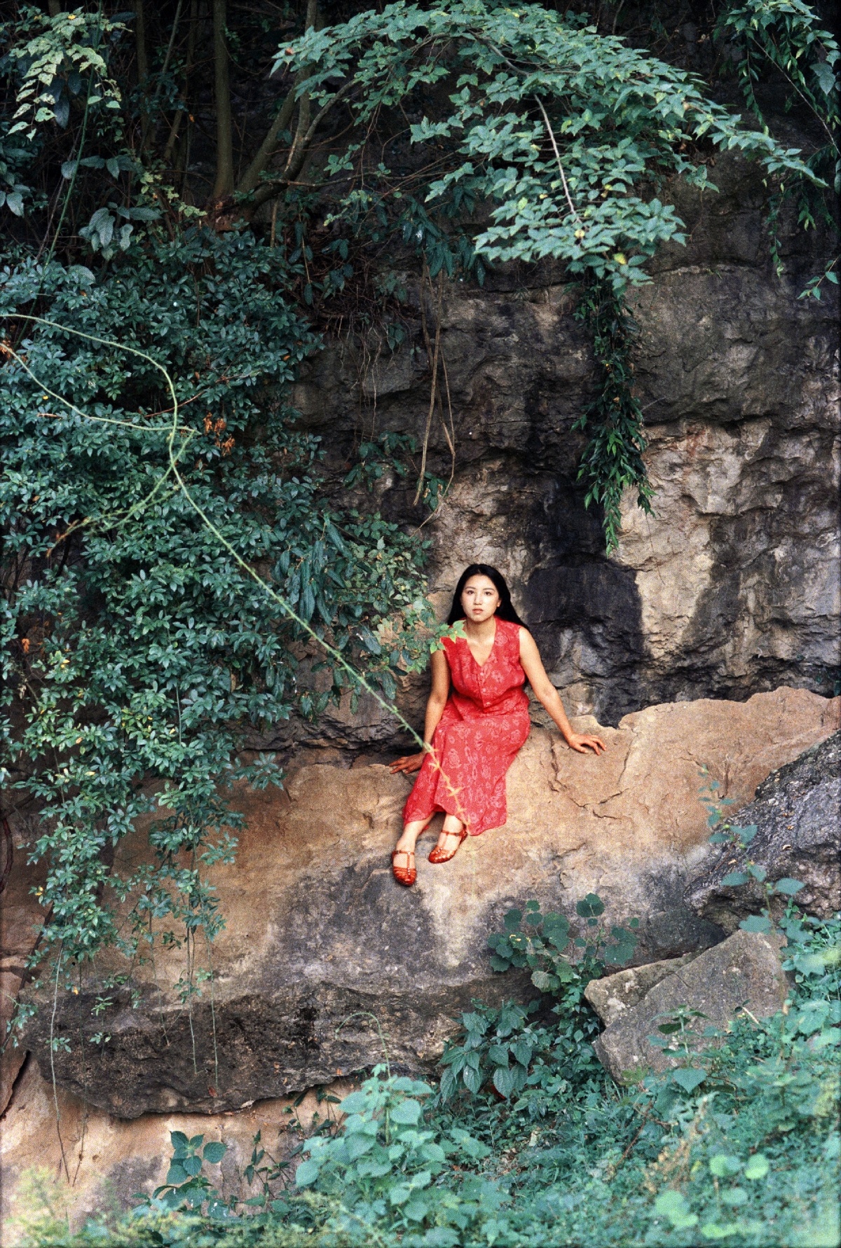 一位穿着红裙子的年轻女子坐在森林中的一块岩石墙上