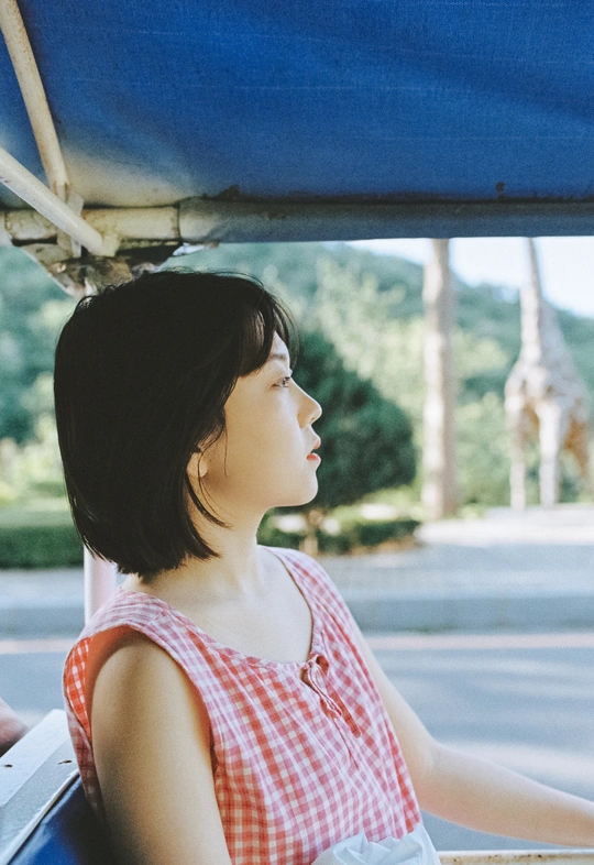 一个穿着连衣裙的年轻女孩坐在车里 看着窗外驶过的长颈鹿