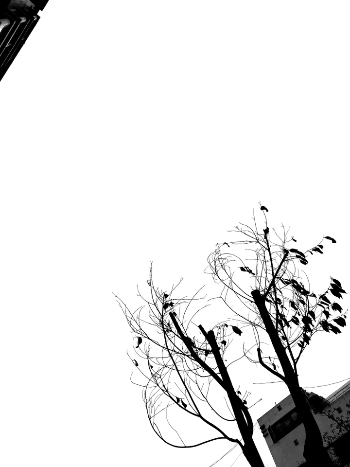 枯