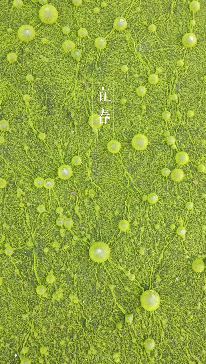 大寒 | 己亥