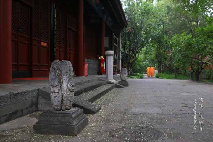 情迷法源寺