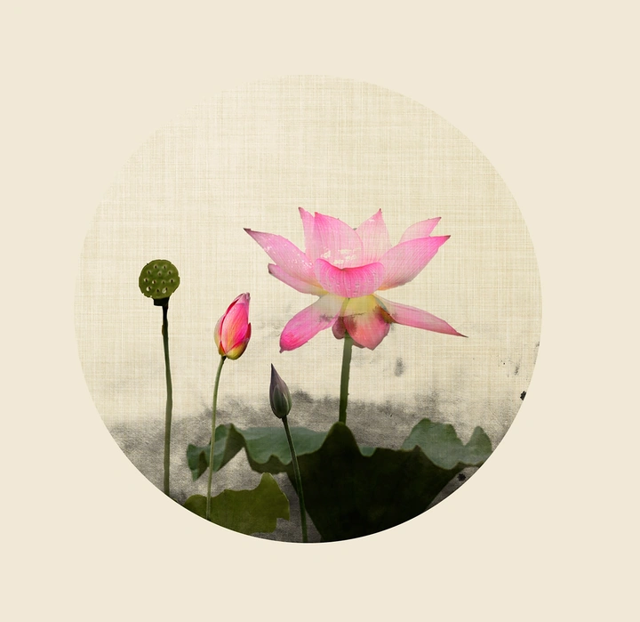 孤傲