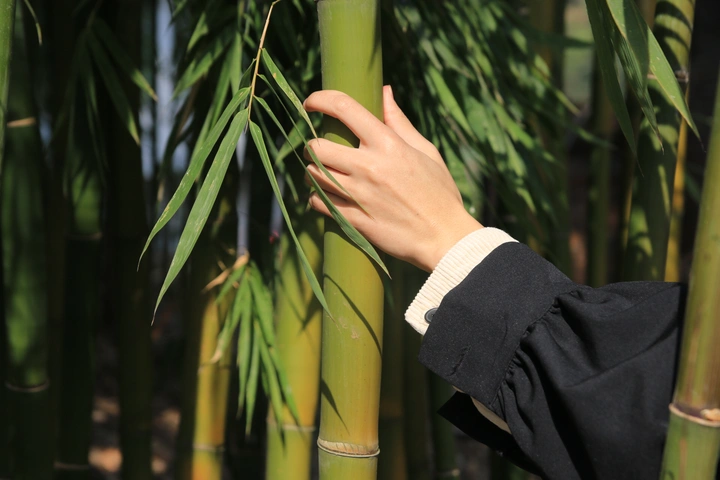 手