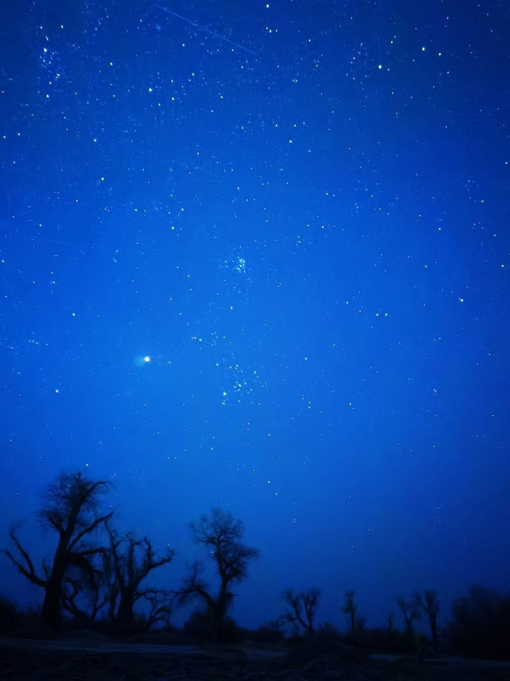 星空下的胡杨