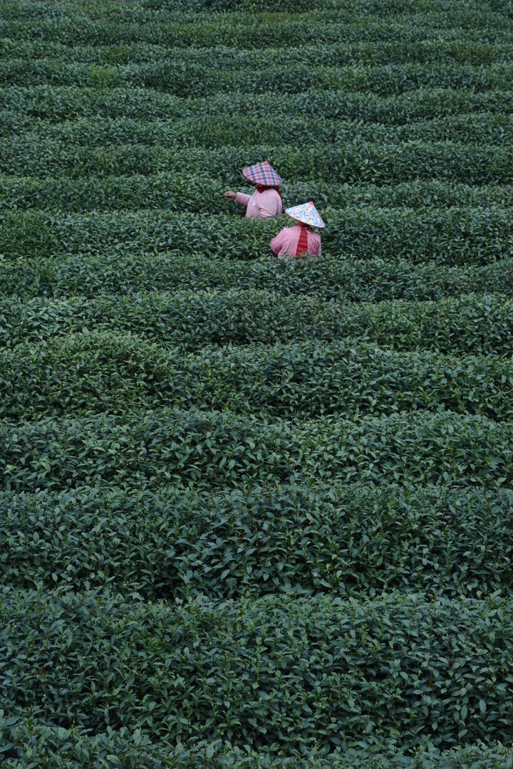 春