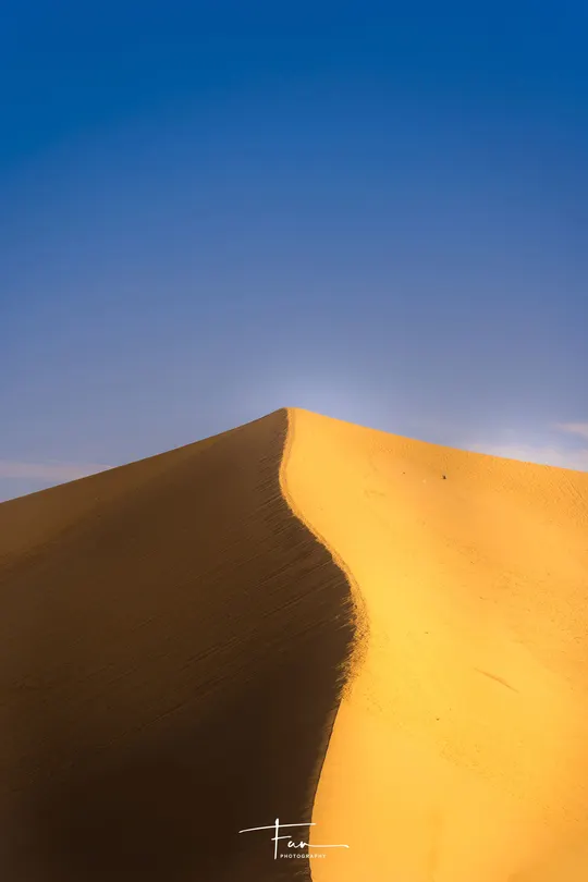 沙漠中的一个沙丘