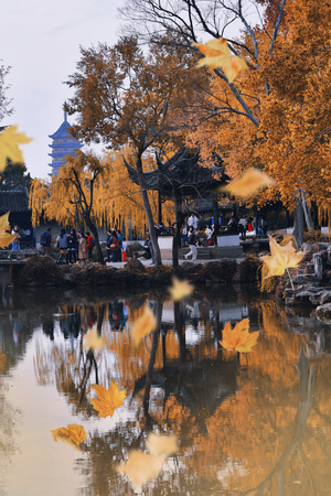 城市中的一池秋水 倒映着秋天的树木